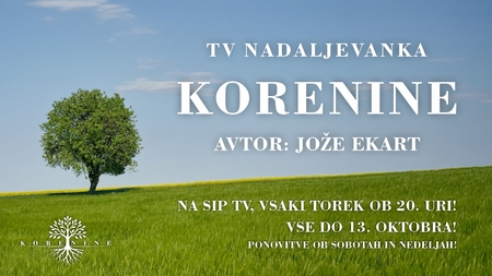 Korenine, predvajanje