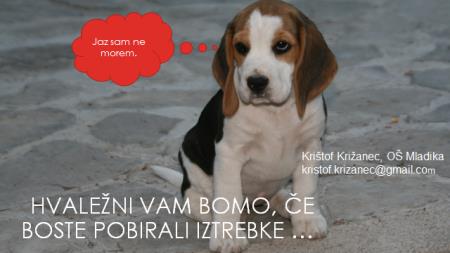 Problematika opustitve pobiranja pasjih iztrebkov na javnih površinah